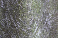 Little Lever fibreglass roof work